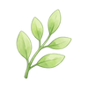 Natural Ingredients